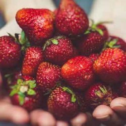 حساسیت به توت فرنگی