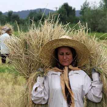 کار بدون مزد برای زنان