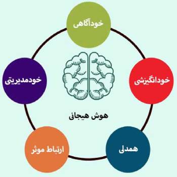 هوش هیجانی چیست؟