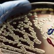 مبارزه با ابر میکروب ها