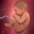 آیا تعیین جنسیت جنین قبل از بارداری امکان پذیر است؟