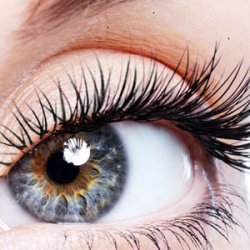 توصیه متخصص پوست و مو در استفاده لاتیس Latisse تقویت مژه