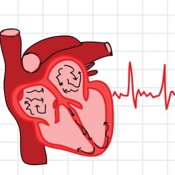 فیبریلاسیون دهلیزی و شاهدانه