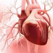 بررسی نارسایی قلبی